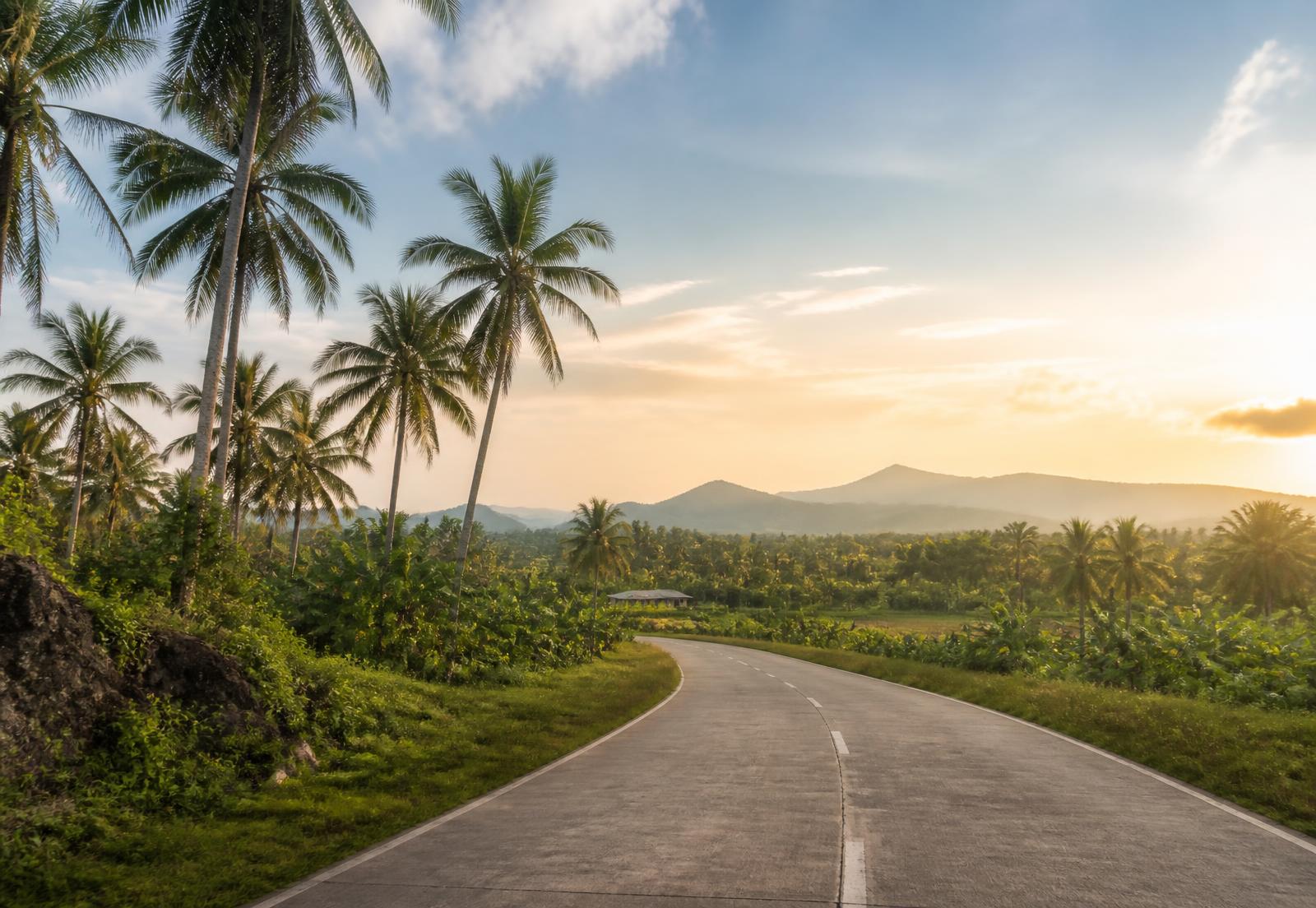 A quiet rural road curving through green countryside toward distant hills at golden hour.